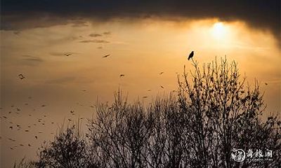 7字有什么含义 数字7详解