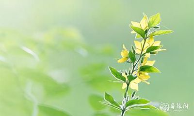 3数字暗示什么意思 数字3代表财运