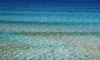 生肖鼠可佩戴什么样的饰品来招财