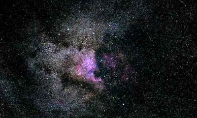 属鼠和属马谁克谁多 属马和属鼠怎么化解