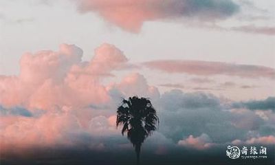 泽鬼革看财运 本卦在财运方面的启示