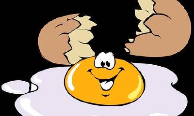 什么样的植物才能发挥旺财聚财的作用