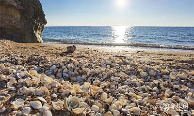 7的数字代表什么意思 7代表感情什么