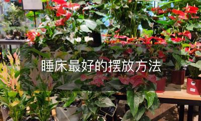 睡床最好的摆放方法