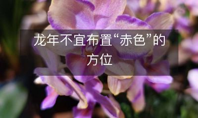 龙年不宜布置“赤色”的方位