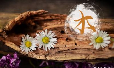 雷击木不能沾什么 雷击木佩戴忌讳