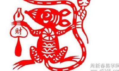 属鼠人和属龙人2022年结婚好吗 婚姻运势如何