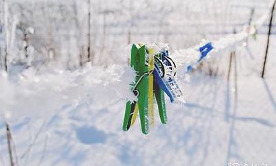 衣服上有下山虎的图案好不好 下山虎的忌讳