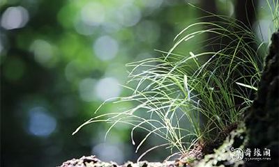 周易数字测吉凶 1到20哪个最吉利