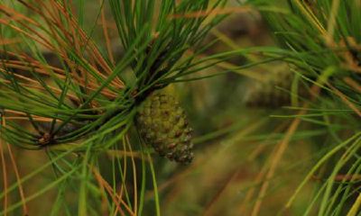 属鼠人最好不要跟什么属相的人结婚