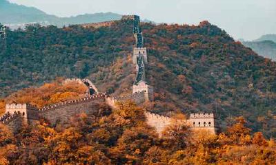 84年属鼠36岁有一灾 属鼠人如何化解大劫年