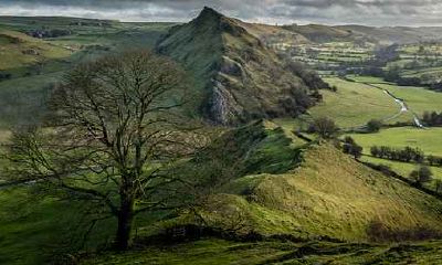 属鼠的和什么属相最合适 属鼠的人和什么生肖最搭配