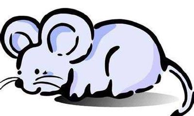 鼠在哪个月出生命最好 7月10月12月