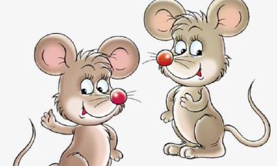 2023年兔年生肖鼠运势怎么样