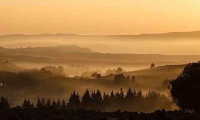 属鼠人和什么属相合作最好 属鼠事业相合的生肖