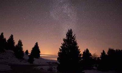 2020年属鼠年宝宝运势性格好不好