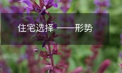 住宅选择 ——形势