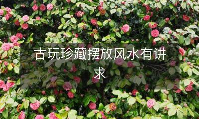 古玩珍藏摆放风水有讲求