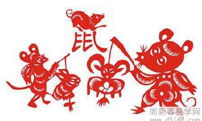 2022年属鼠人哪方面运势最好