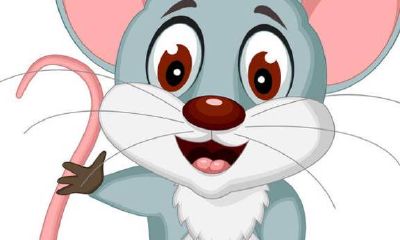 2022年属鼠的幸运颜色是什么呢