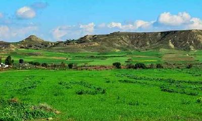 属蛇和属鼠的八字合不合