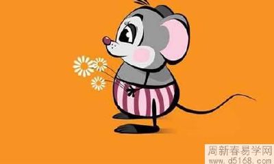 属鼠人和属鼠人2022年可以结婚吗 生肖婚配