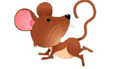 2008年属鼠孩子2021年学习怎么样 学业运好吗