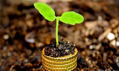 测试数字吉凶查询 数字的五行