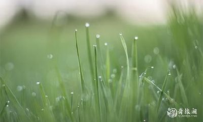 被借走的运气如何拿回来 可以试试这三种方法