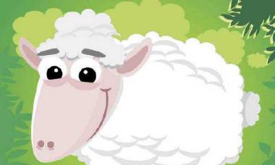 91年的人哪年生宝宝好 可以有几个子女