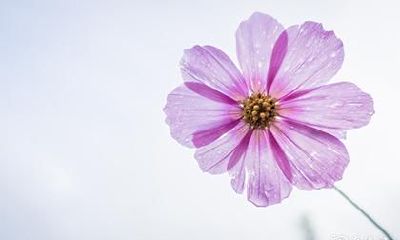 中考应该戴什么手晶 考生带什么饰品寓意好