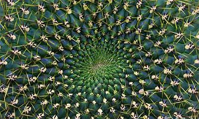 中考前考好的预兆 考前吃什么寓意好