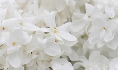 中考穿衣服禁忌 为什么大考前不宜洗澡