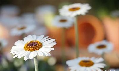 怎么看自己什么时候考试最好 考试考得好前兆