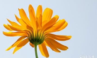 有什么法术可以让我中考超常发挥