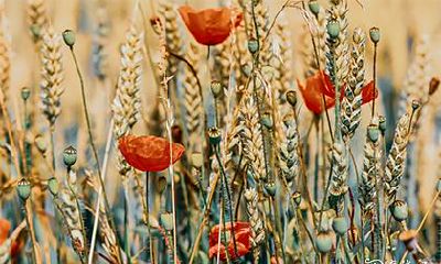 许愿保佑孩子高考 最灵验的考试开运方法