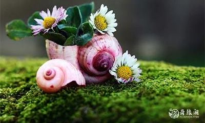 小孩高考家里风水要注意哪些