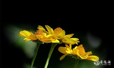 送考穿什么颜色的衣服 家长高考穿衣讲究