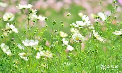 女孩考试穿什么衣服 考生穿搭上有什么讲究