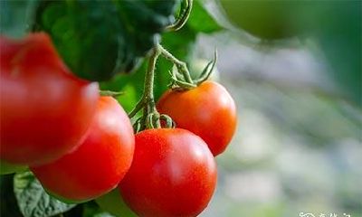 考试衣服颜色 比较幸运的三种颜色