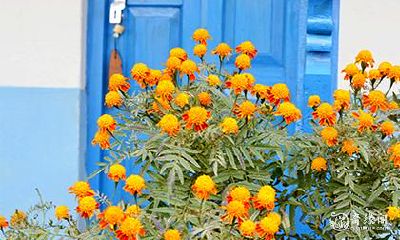 考试穿衣服颜色有什么讲究 什么颜色旺考试