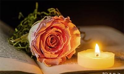 家有考生摆什么植物好 最旺孩子学业的风水