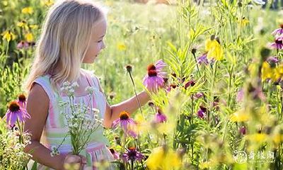 女孩名字昕玥好吗 玥字女孩取名