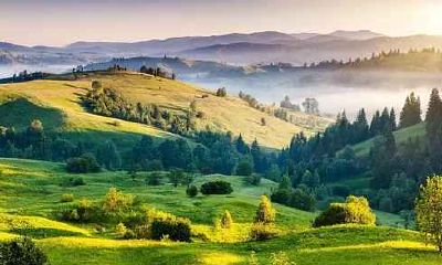 1972年属鼠男生的婚姻 1972年属鼠男人一生婚姻运势