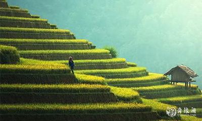 木字旁的男孩名字 木字旁最吉利的字