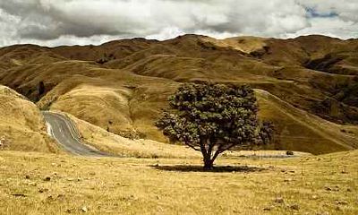 属羊几月结婚最好 属羊的人和什么属相合相配