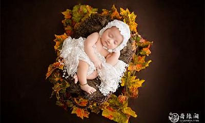 高考前出生的孩子取名 状元名字案例（带解析）