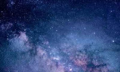 1967年属羊人2021年工作事业运势如何