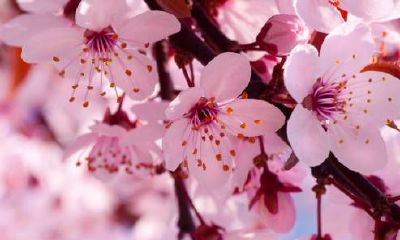 厨房门正对客厅阳台影响运程