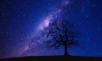 属鼠女孩几点出生最好命